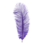 MFC Ostrich Plumes