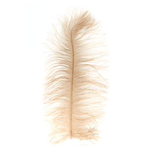 MFC Ostrich Plumes