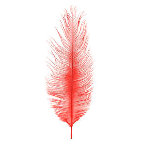 MFC Ostrich Plumes