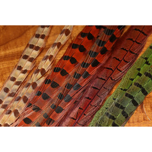 Ringneck Pheasant Tail Feathers