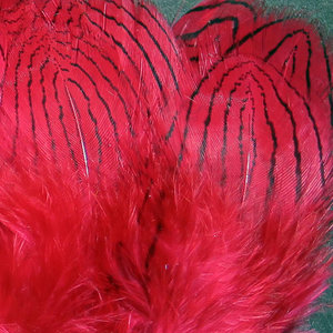 Hareline Silver Pheasant Body Feathers