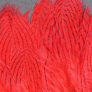 Hareline Silver Pheasant Body Feathers