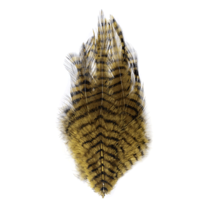 MFC Barred Saddle Hackle