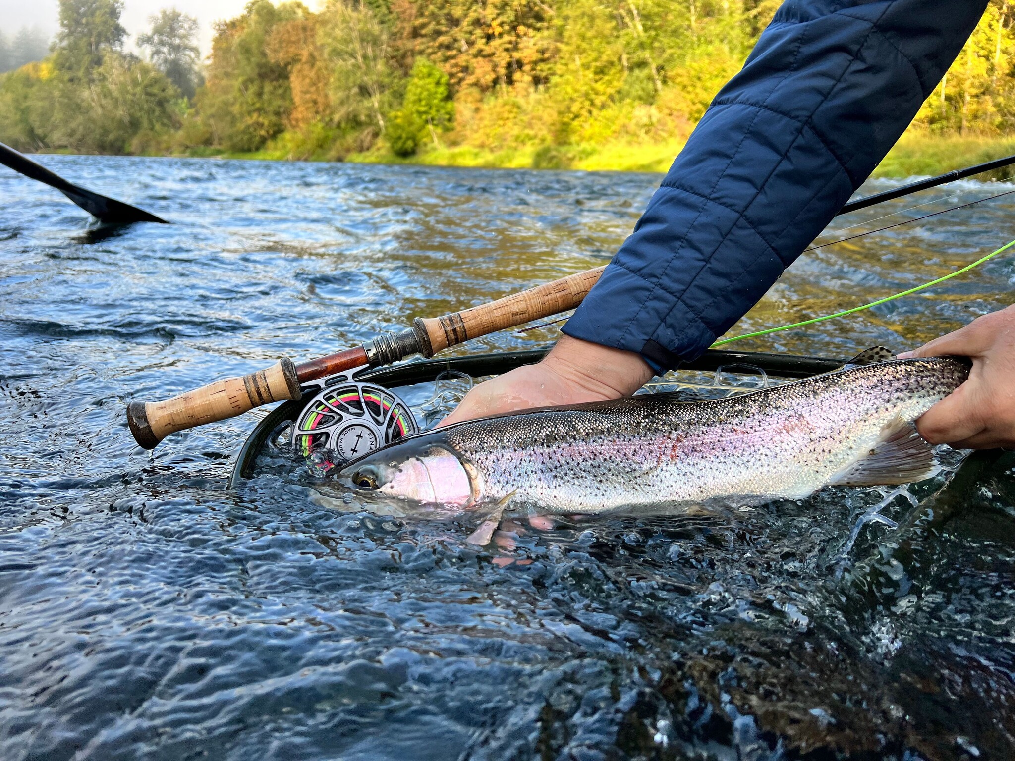 Trout Spey Guided Trips