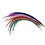 Lady Amherst Center Tail Feather