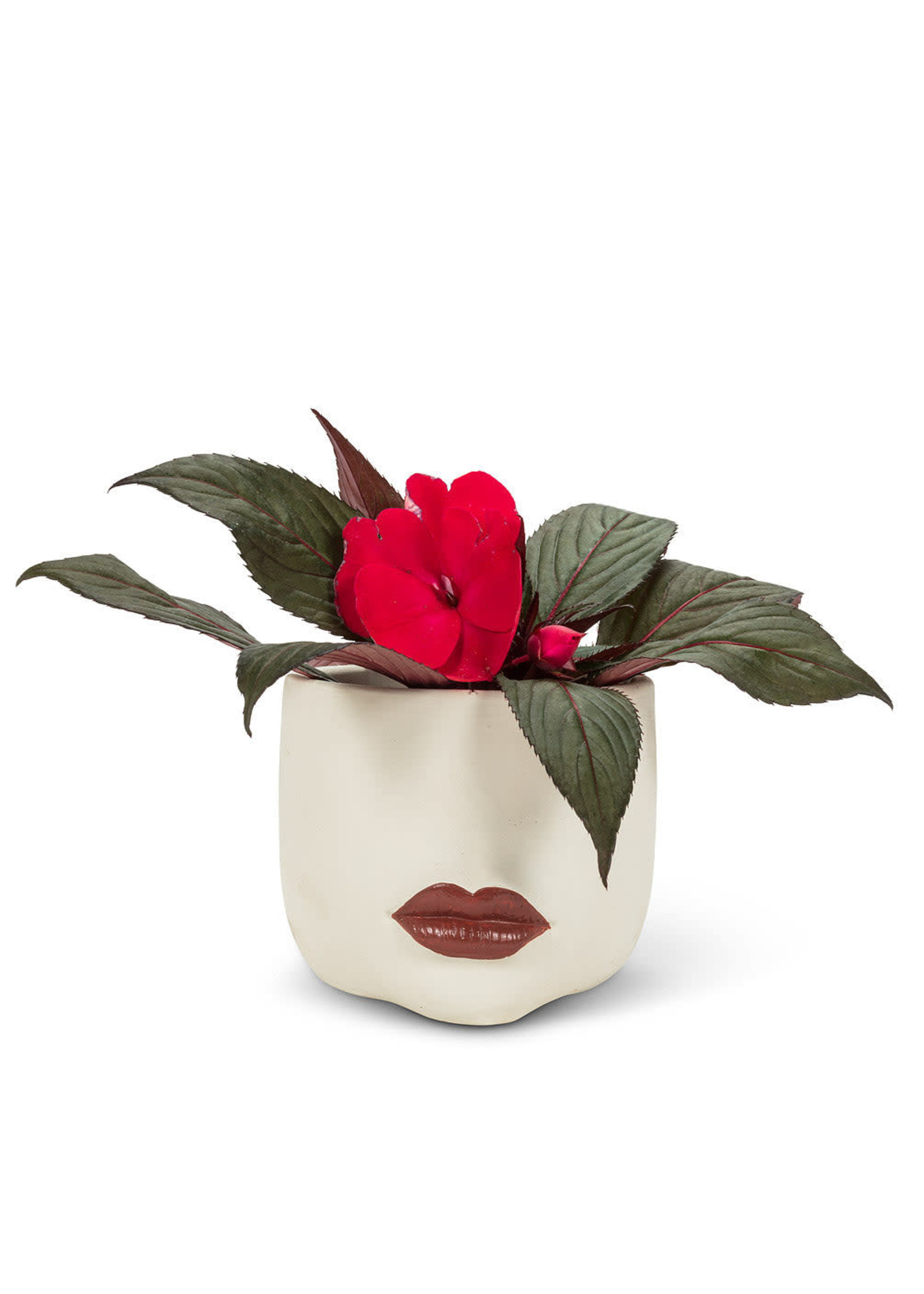 Small Red Lip Planter