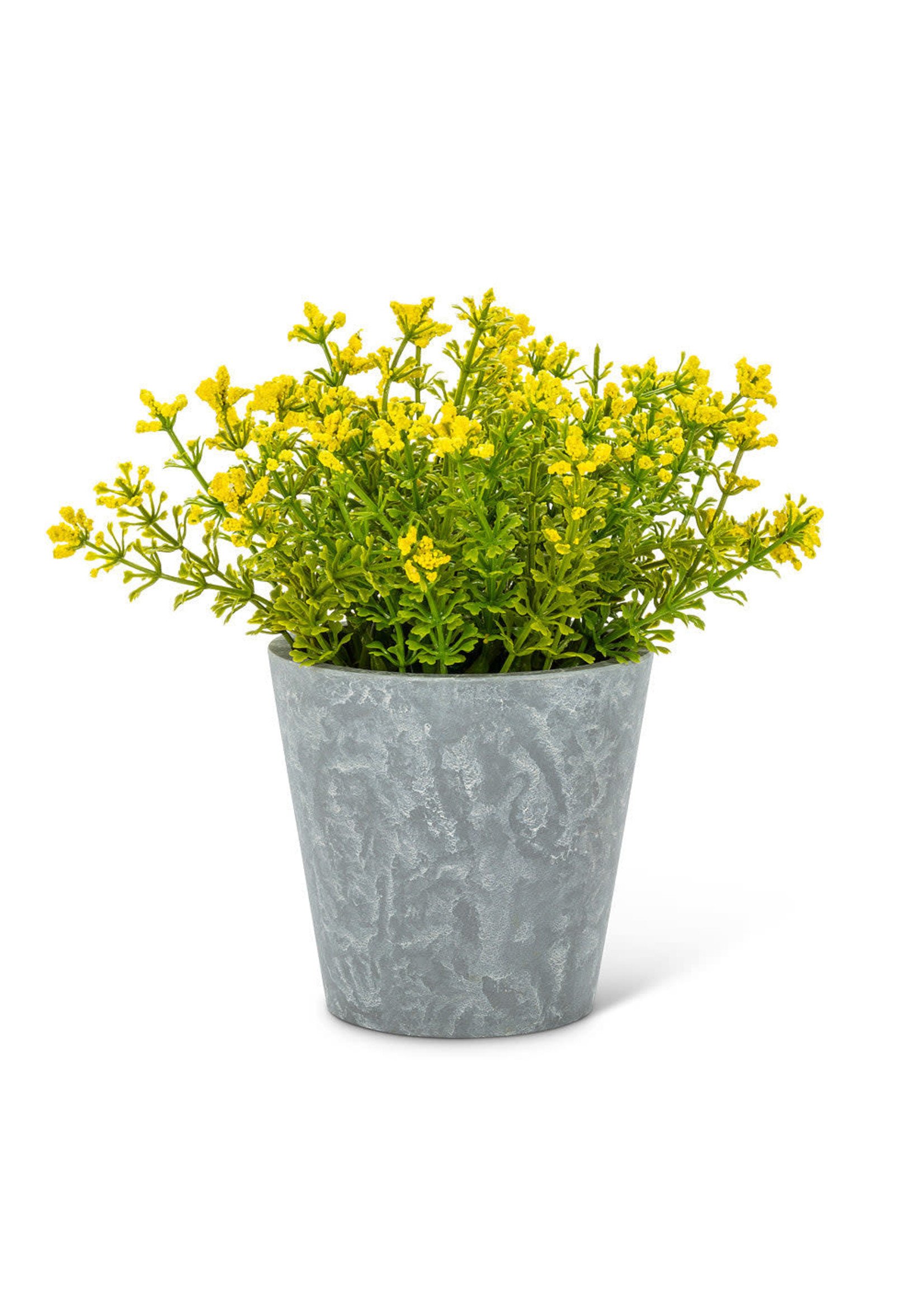 Yellow Flowering Plant Pot