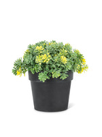 Yellow Petite Flower Plant Pot