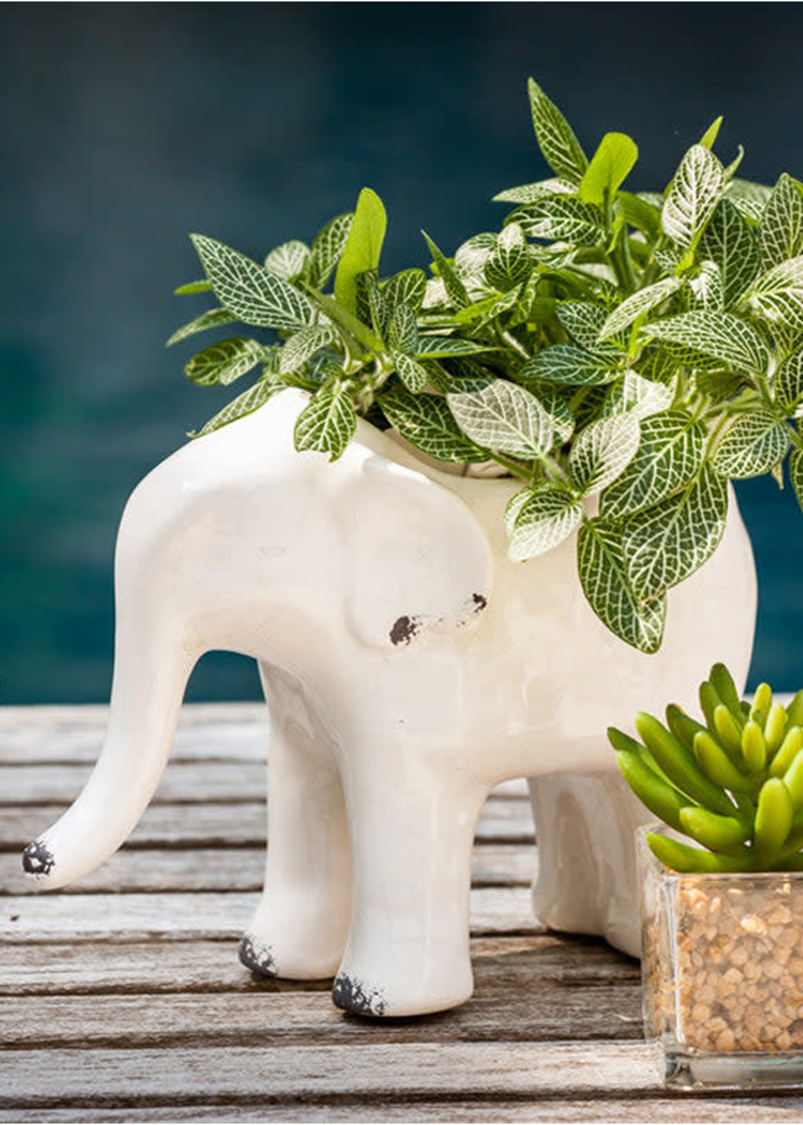 Standing Elephant Planter