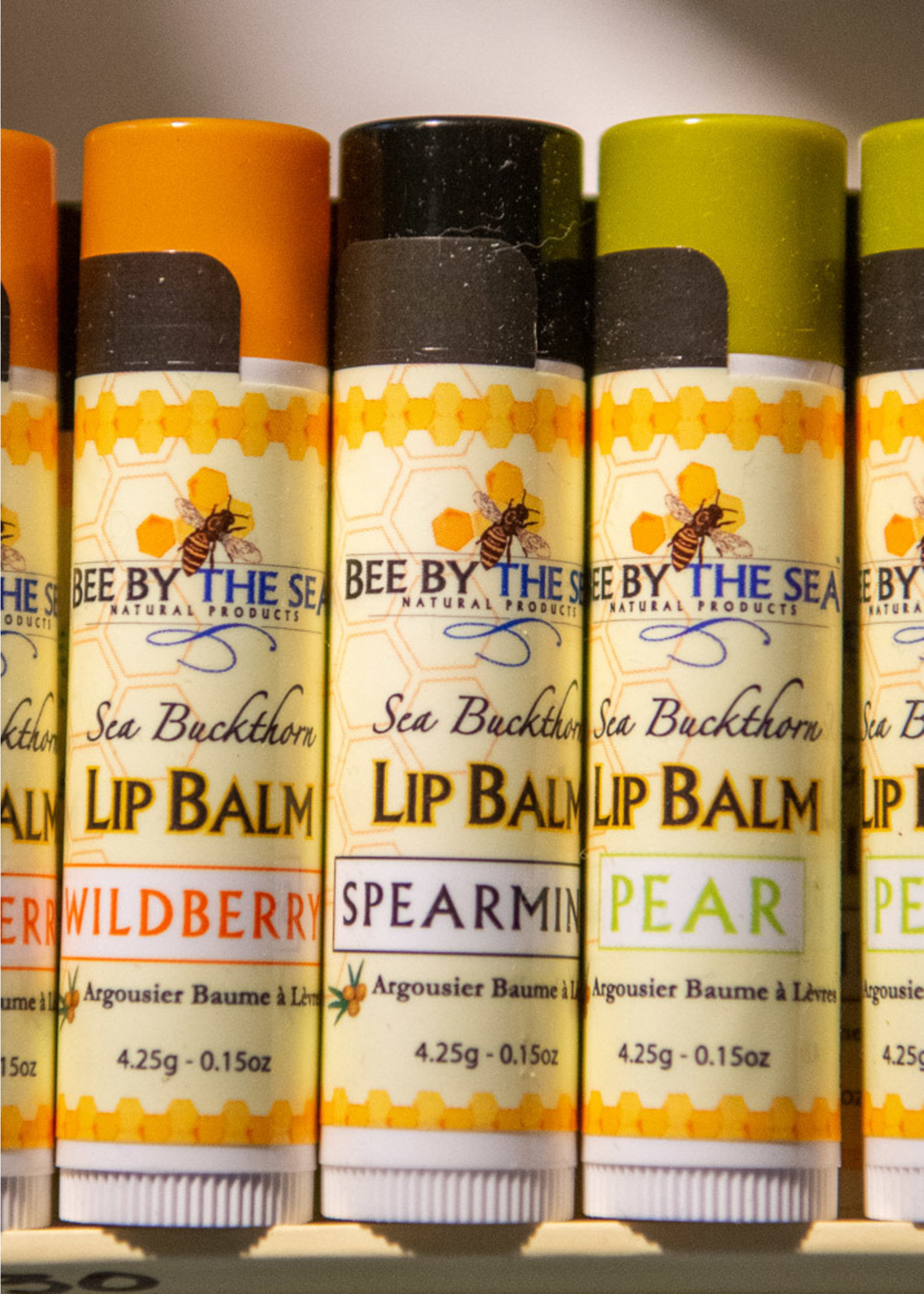 Bee By The Sea Lip Balm
