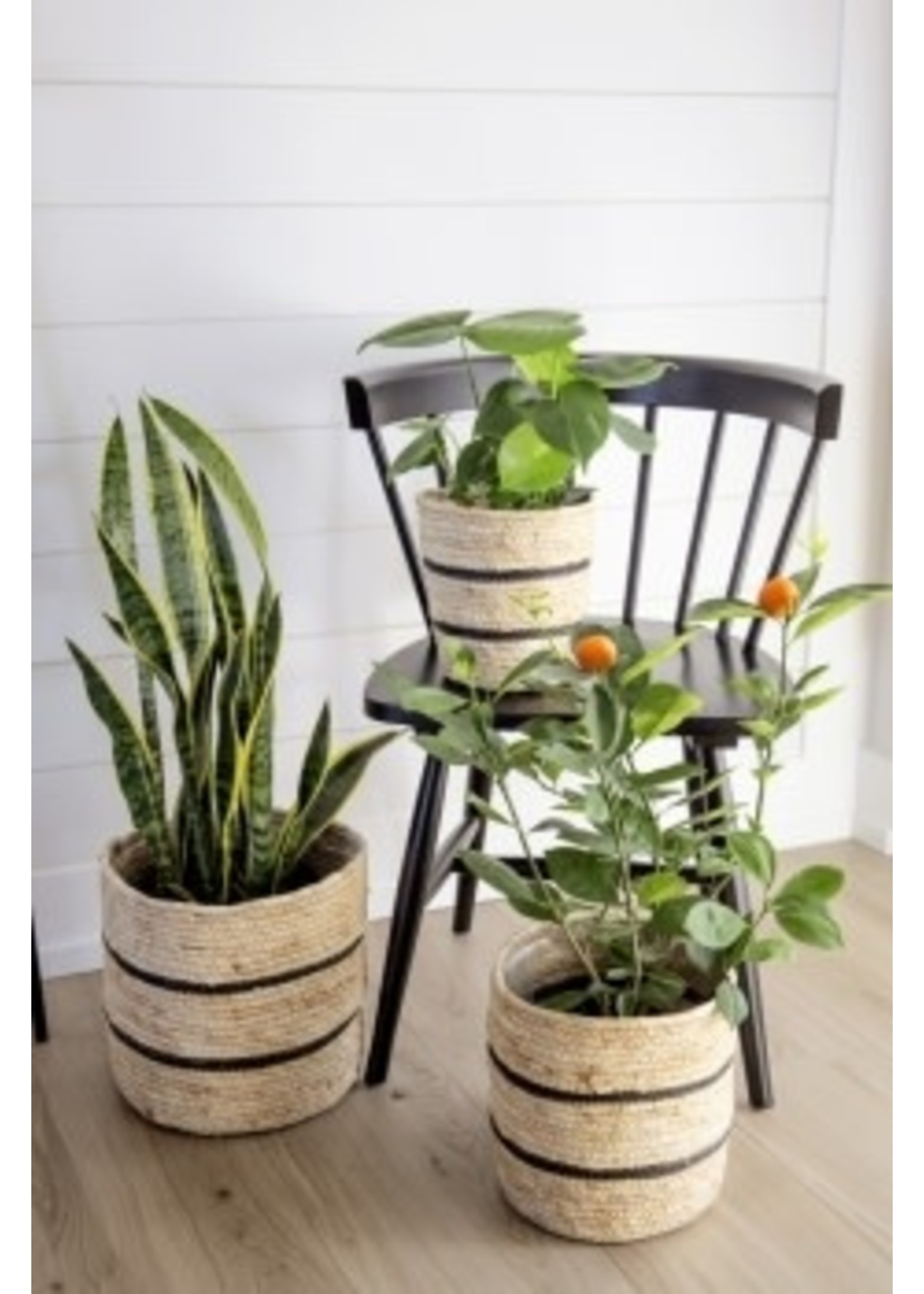 Plant Basket/Black Stripe - Small