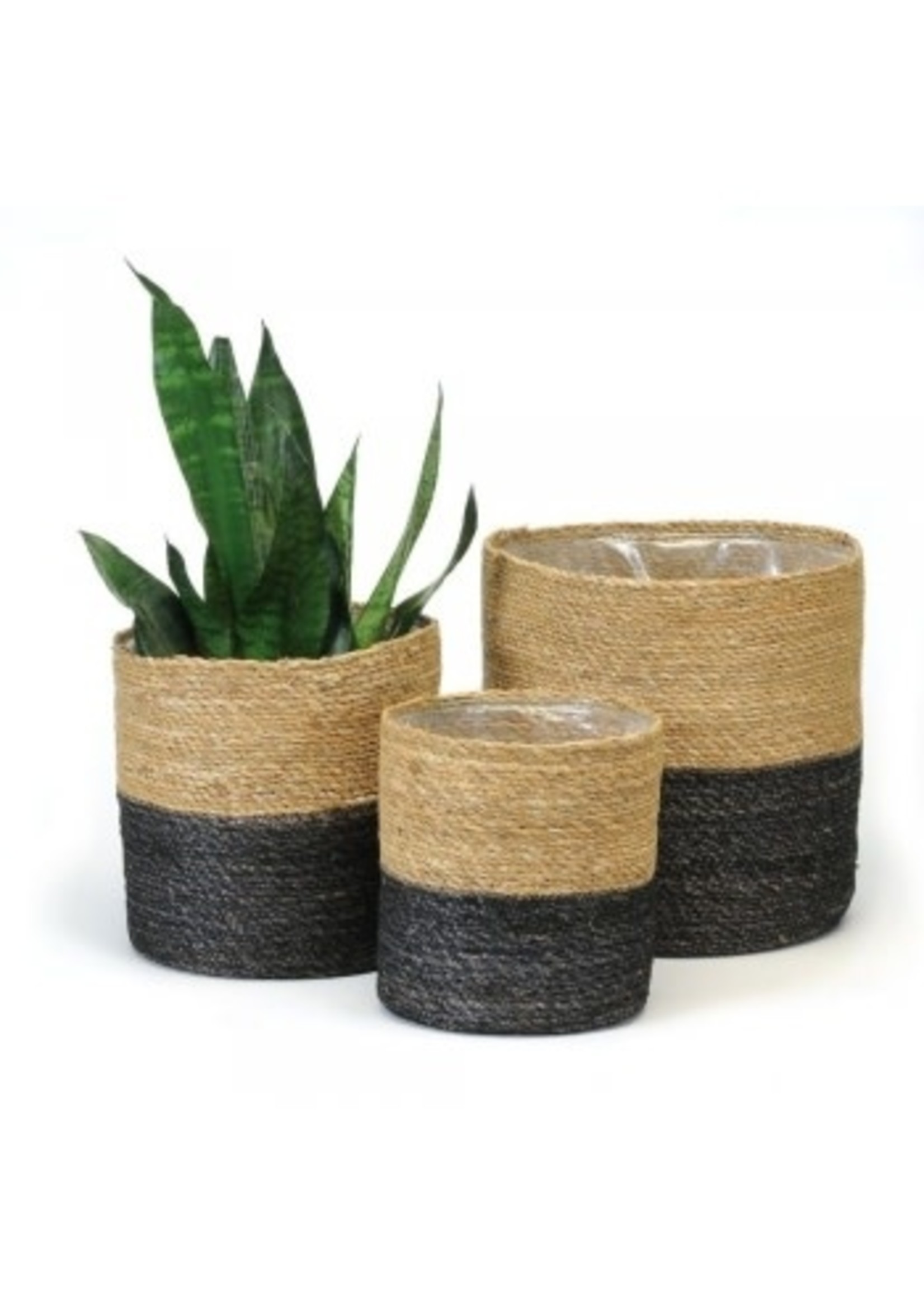 Plant Basket/Natural/Black-Medium