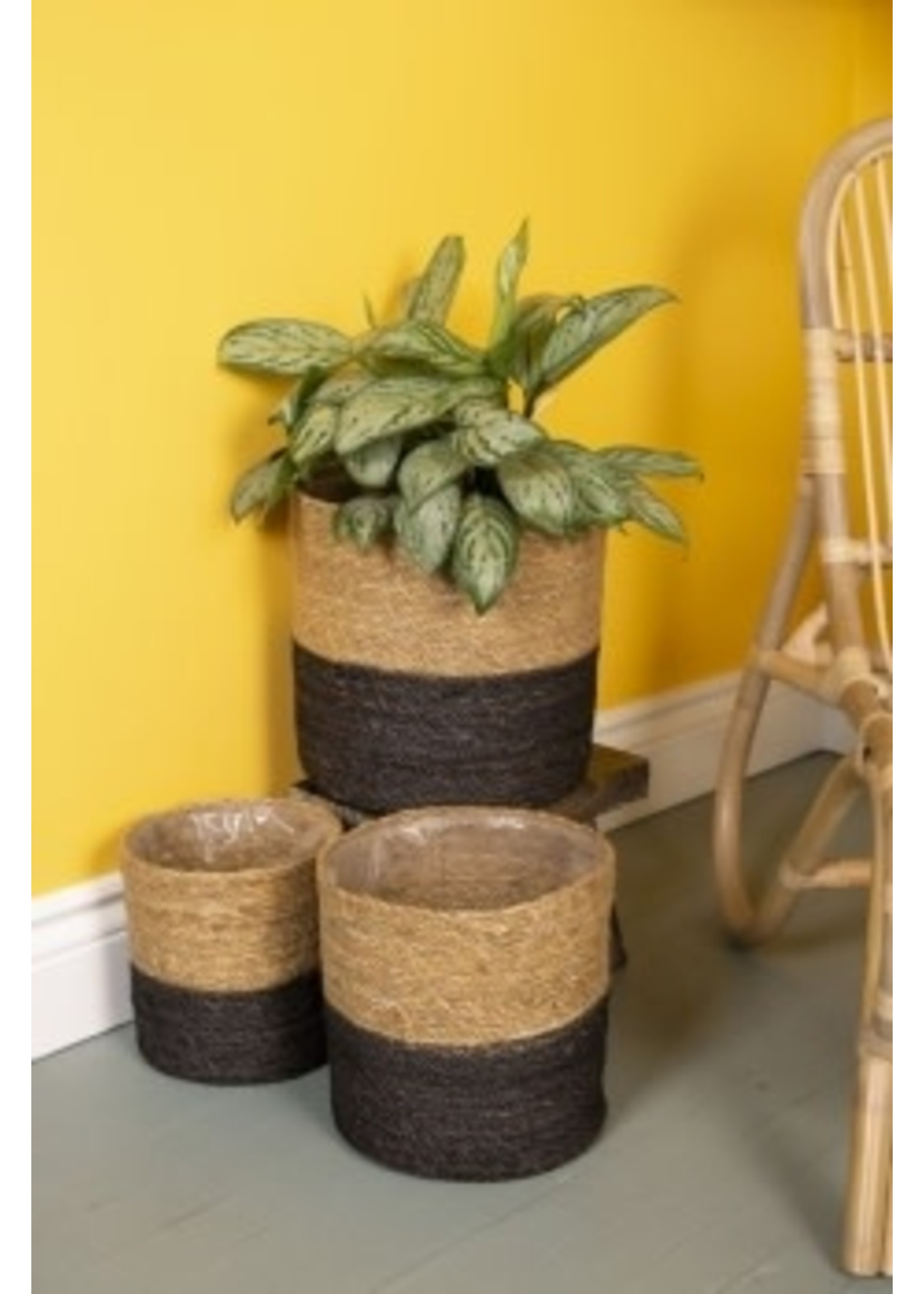 Plant Basket/Natural/Black-Medium