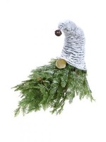 Evergreen Moonface Gnome
