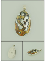 Rare African Turbo Shell Pendant set in Sterling Silver