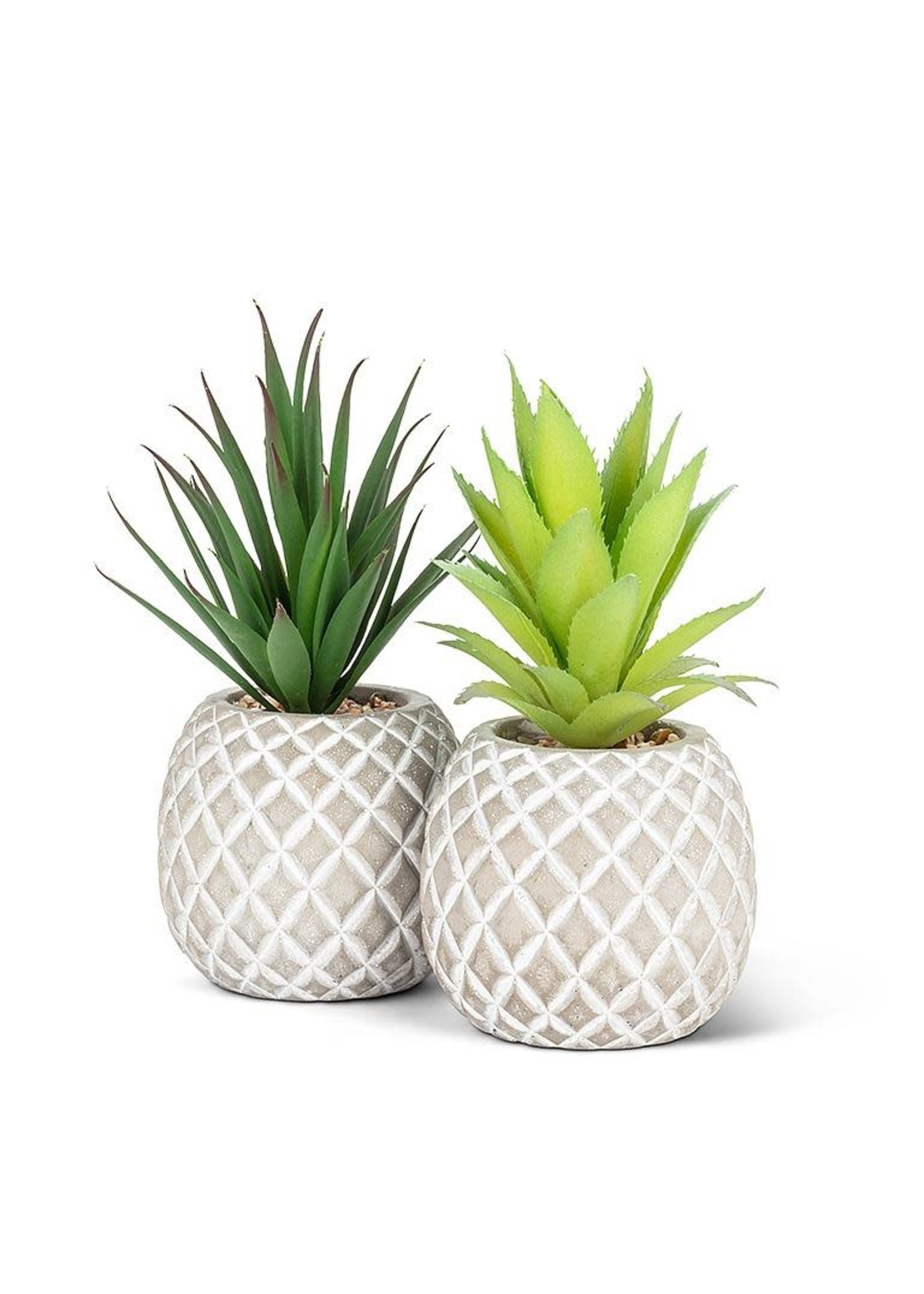 Succulent in Pineapple - Drk Grn 8"