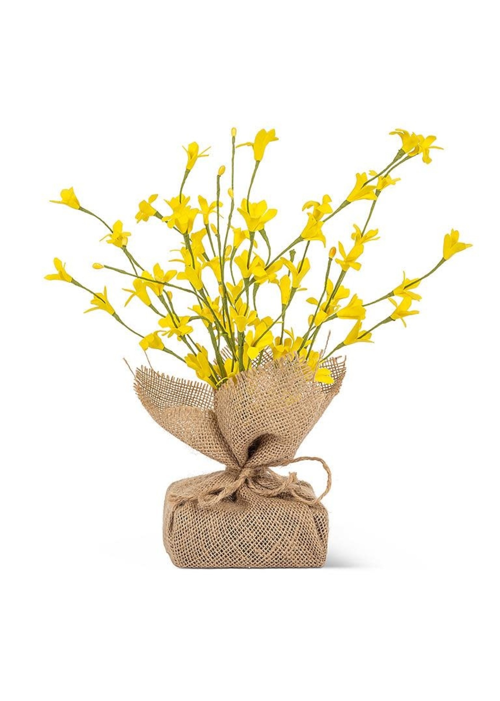Forsythia Branches with Burlap Base - 13"H