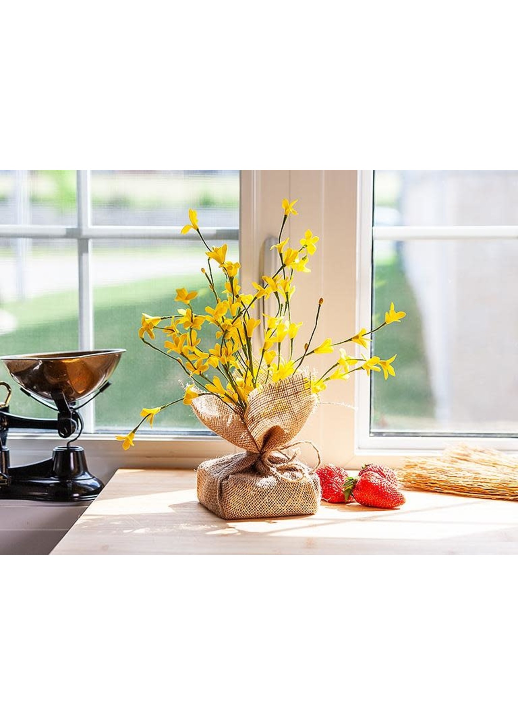 Forsythia Branches with Burlap Base - 13"H