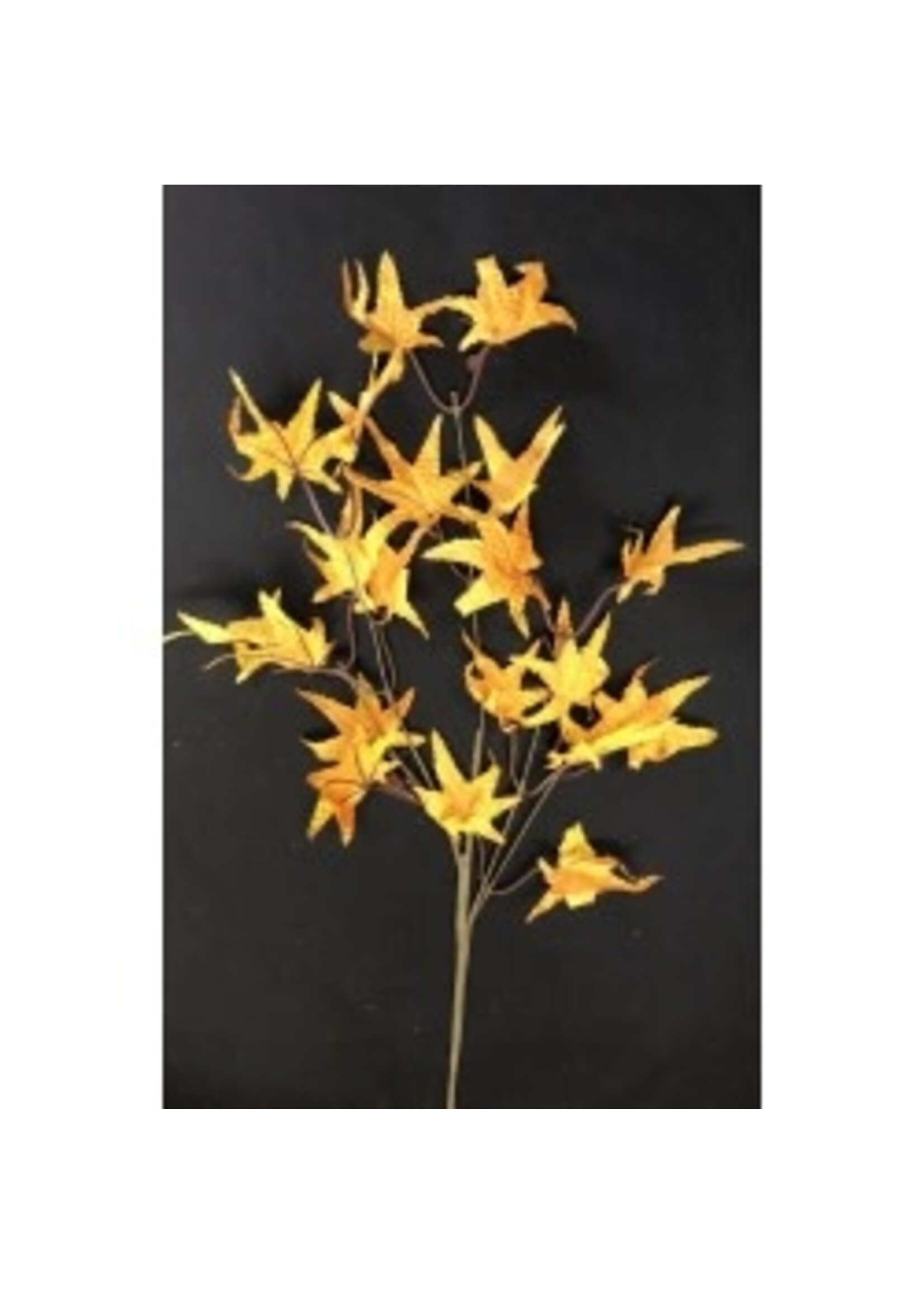 Oak Leaves - Yellow