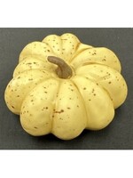 Pumpkin Yellow 3”