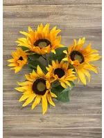 Sunflower Bush 18”