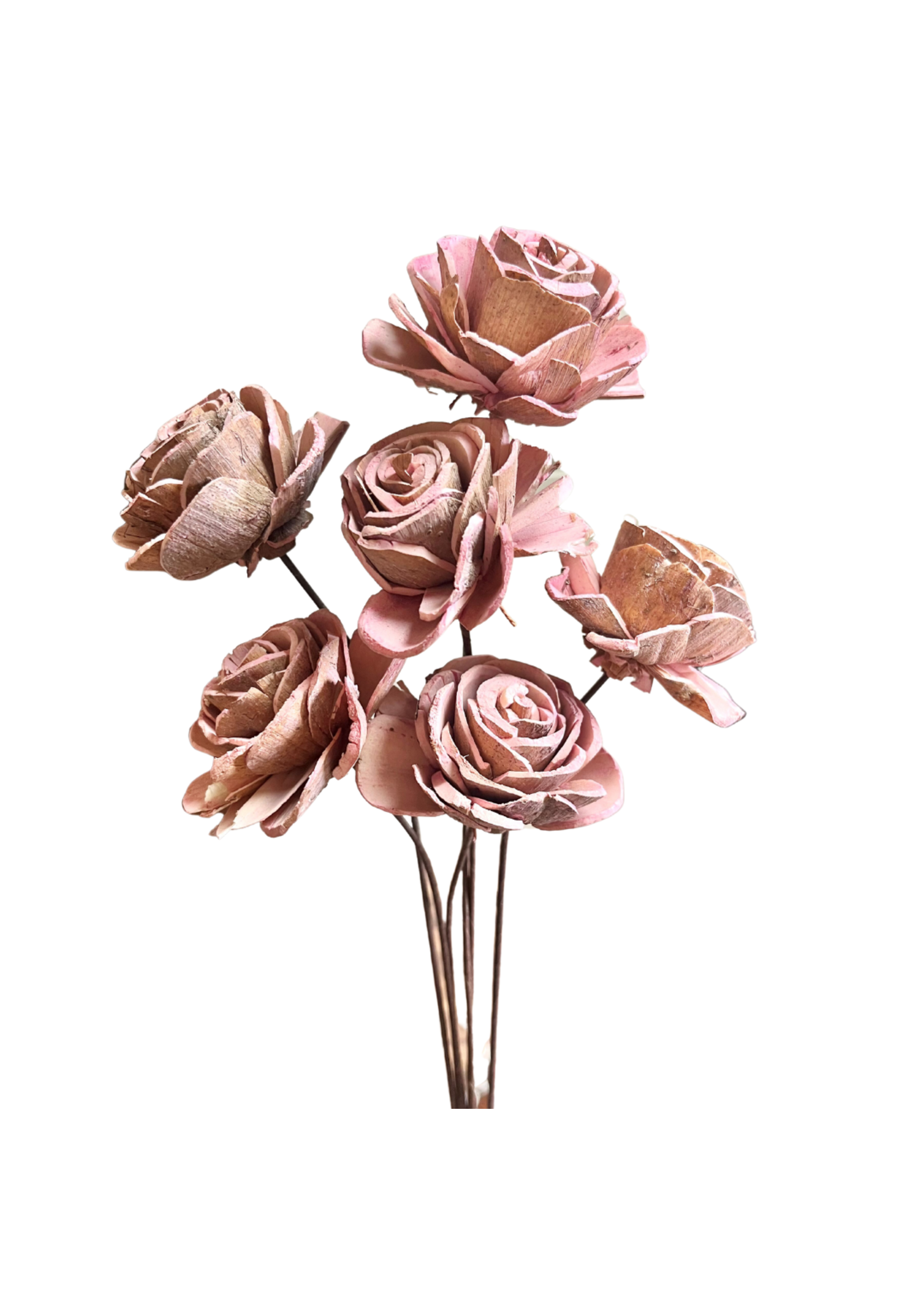 SOLA ROSE SMALL LIGHT PINK 2.5" DIA 6 STEMS
