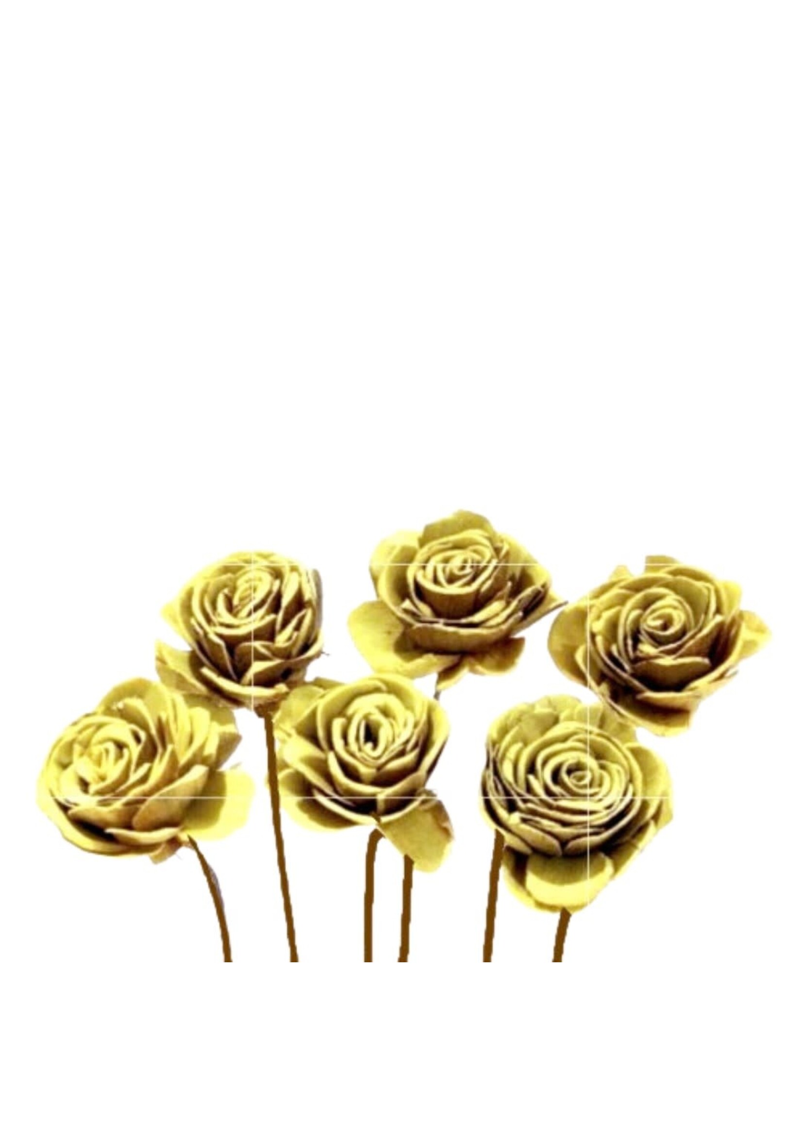 SOLA ROSES SMALL - Yellow
