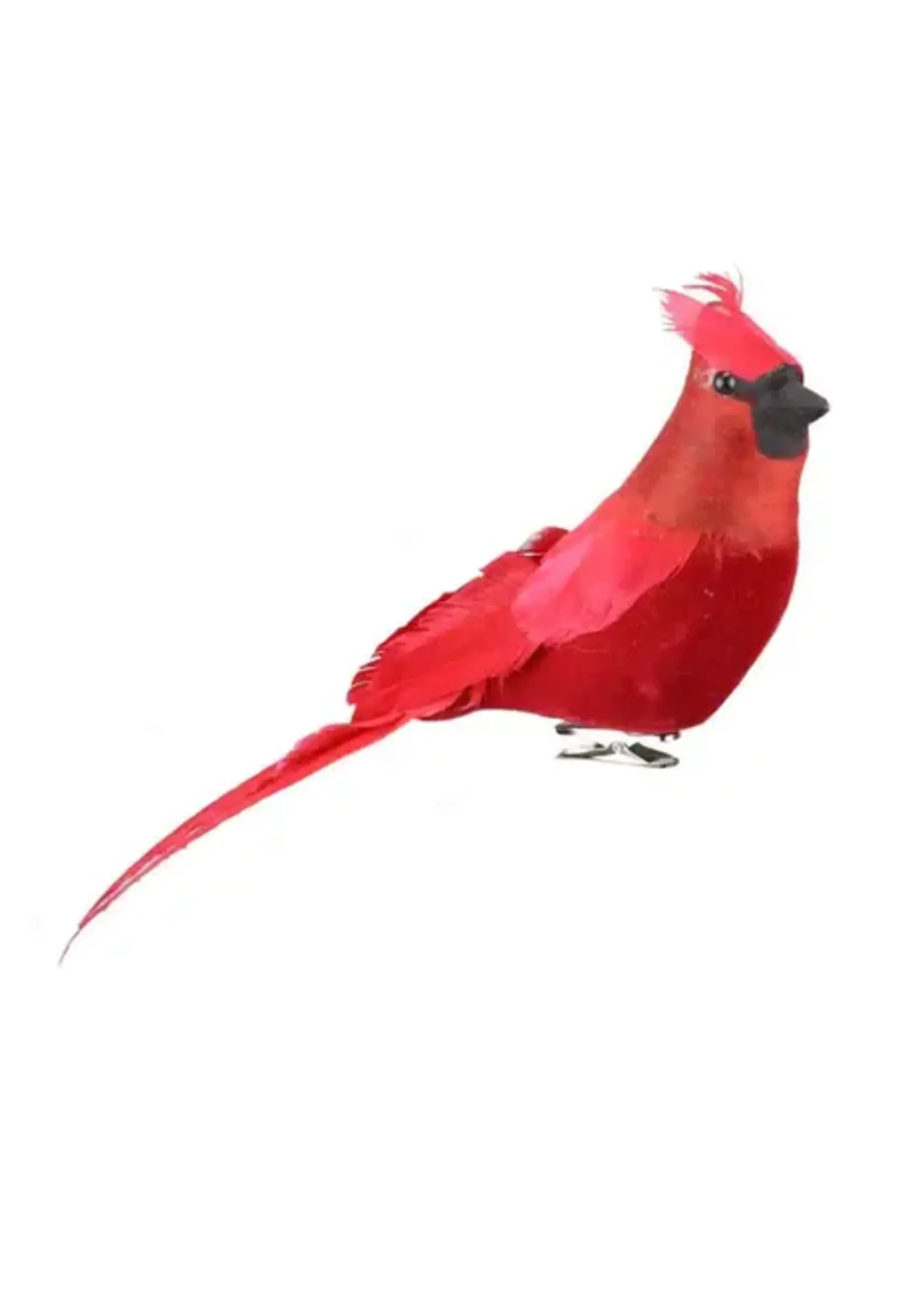 Cardinal Ornament - Large w clip