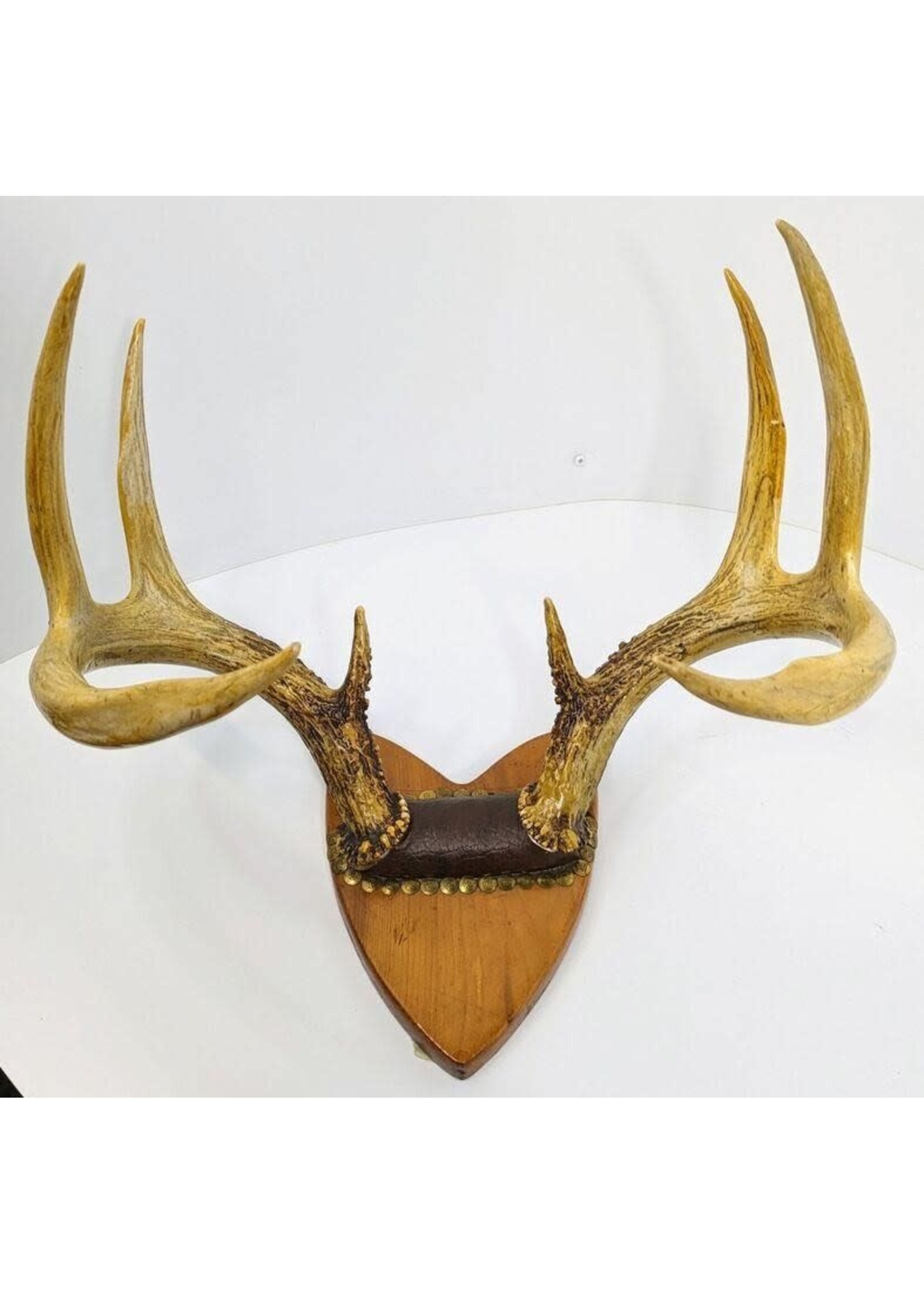 Vintage Mounted Antlers - PICK UP ONLY