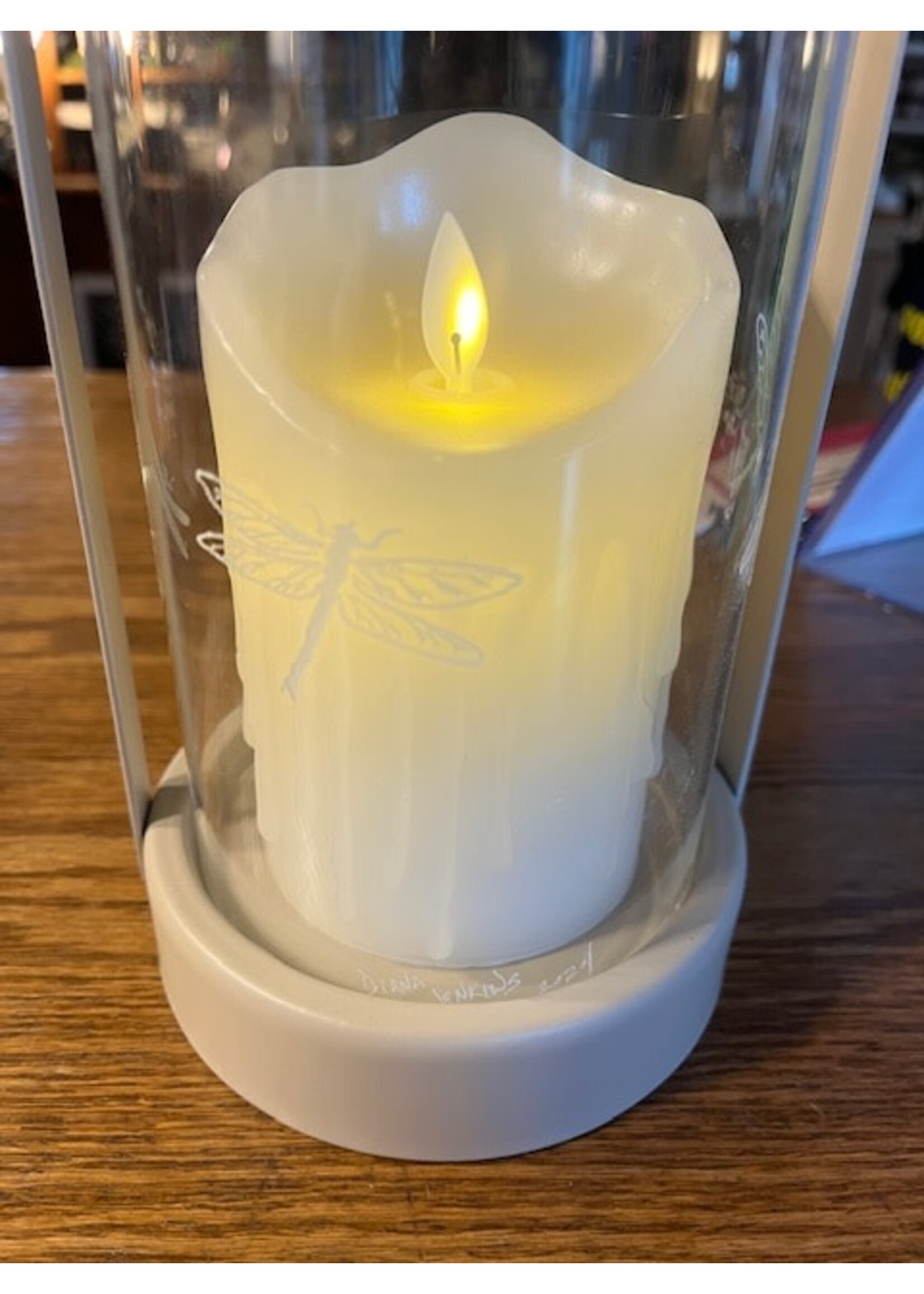 Diana Jenkins Large Hurricane Hand Etched Dragonfly