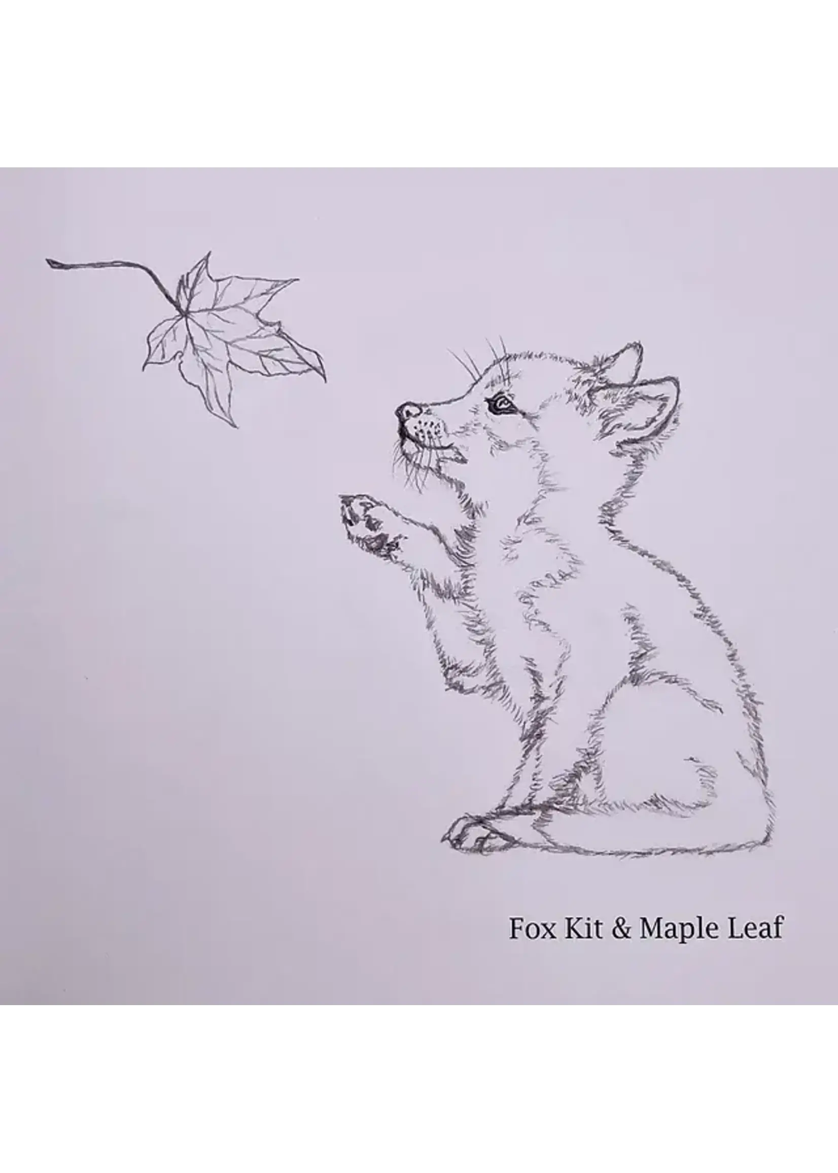 Fluff & Fauna Colouring Book