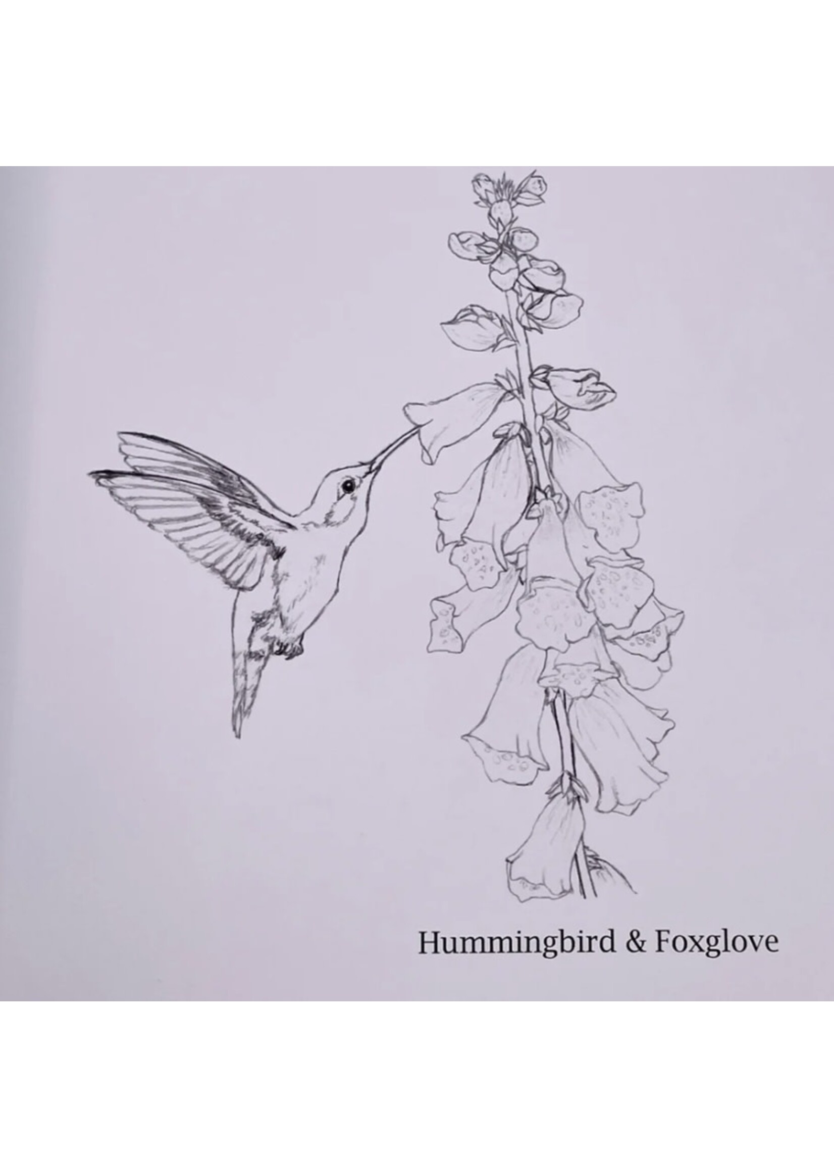 Fluff & Fauna Colouring Book