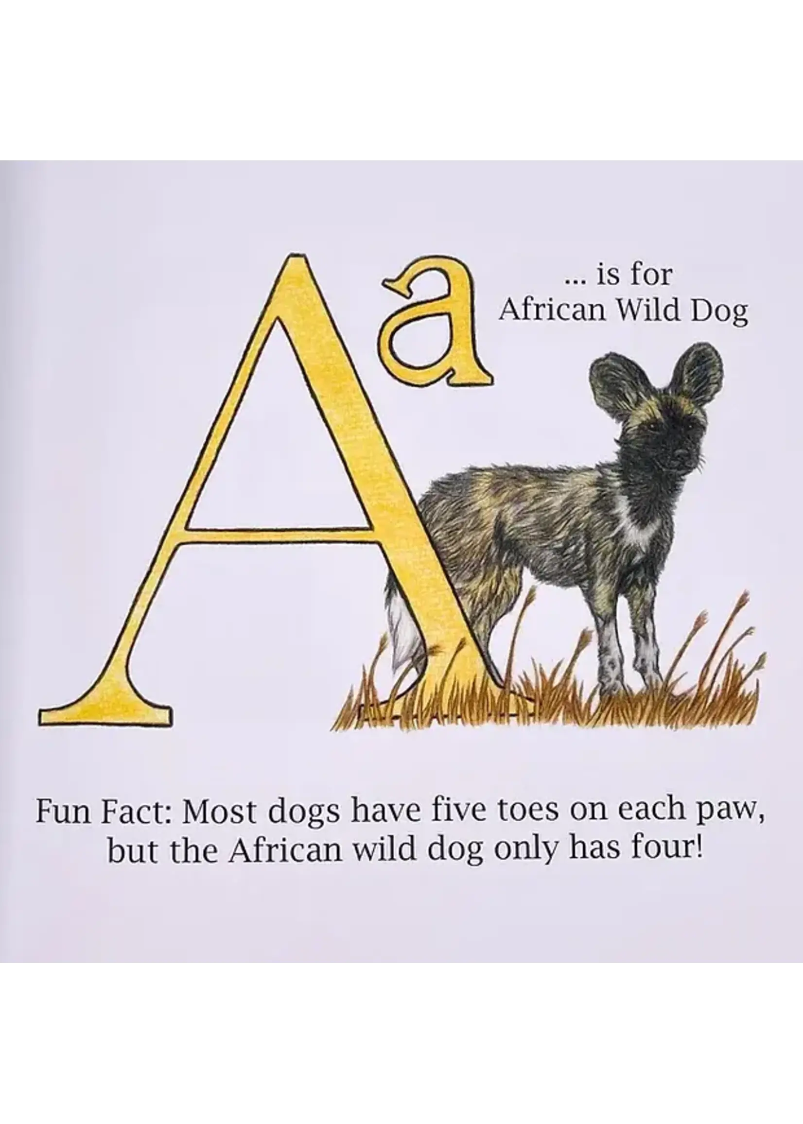 Animals A to Z Book