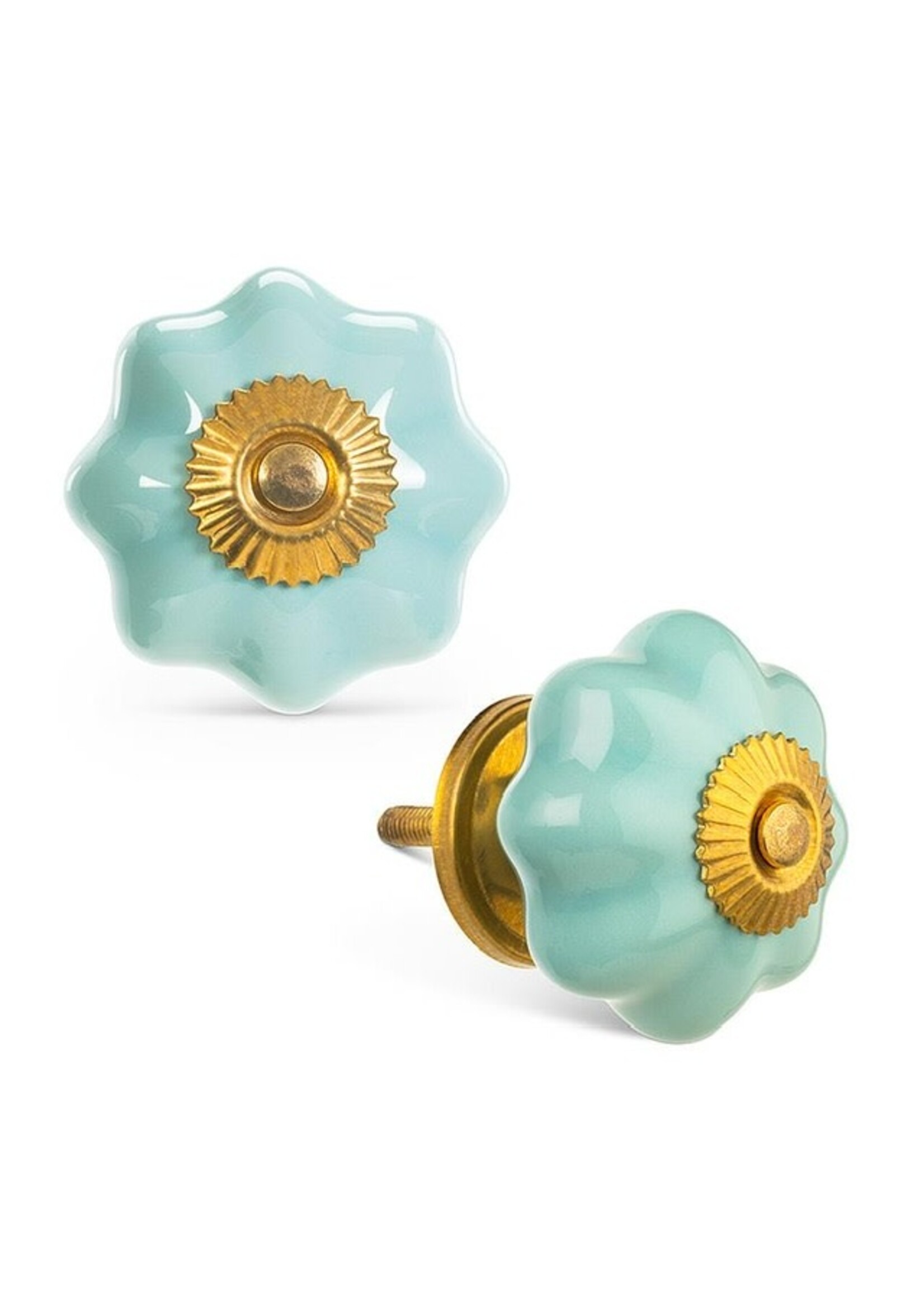 Pumpkin Knob - Turquoise