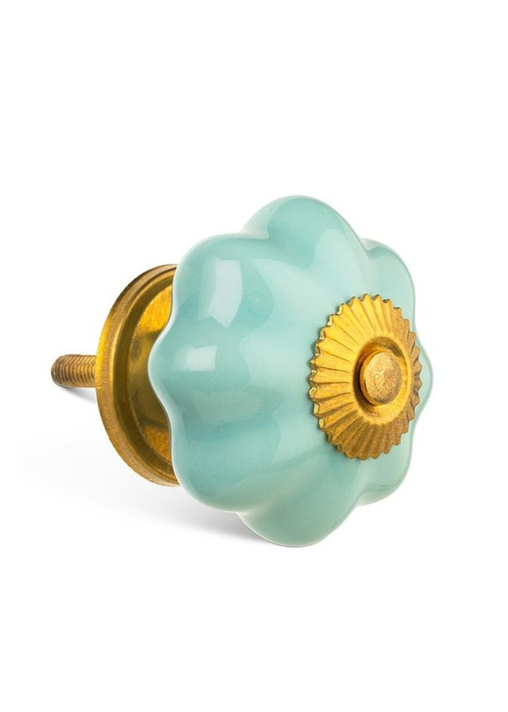 Pumpkin Knob - Turquoise