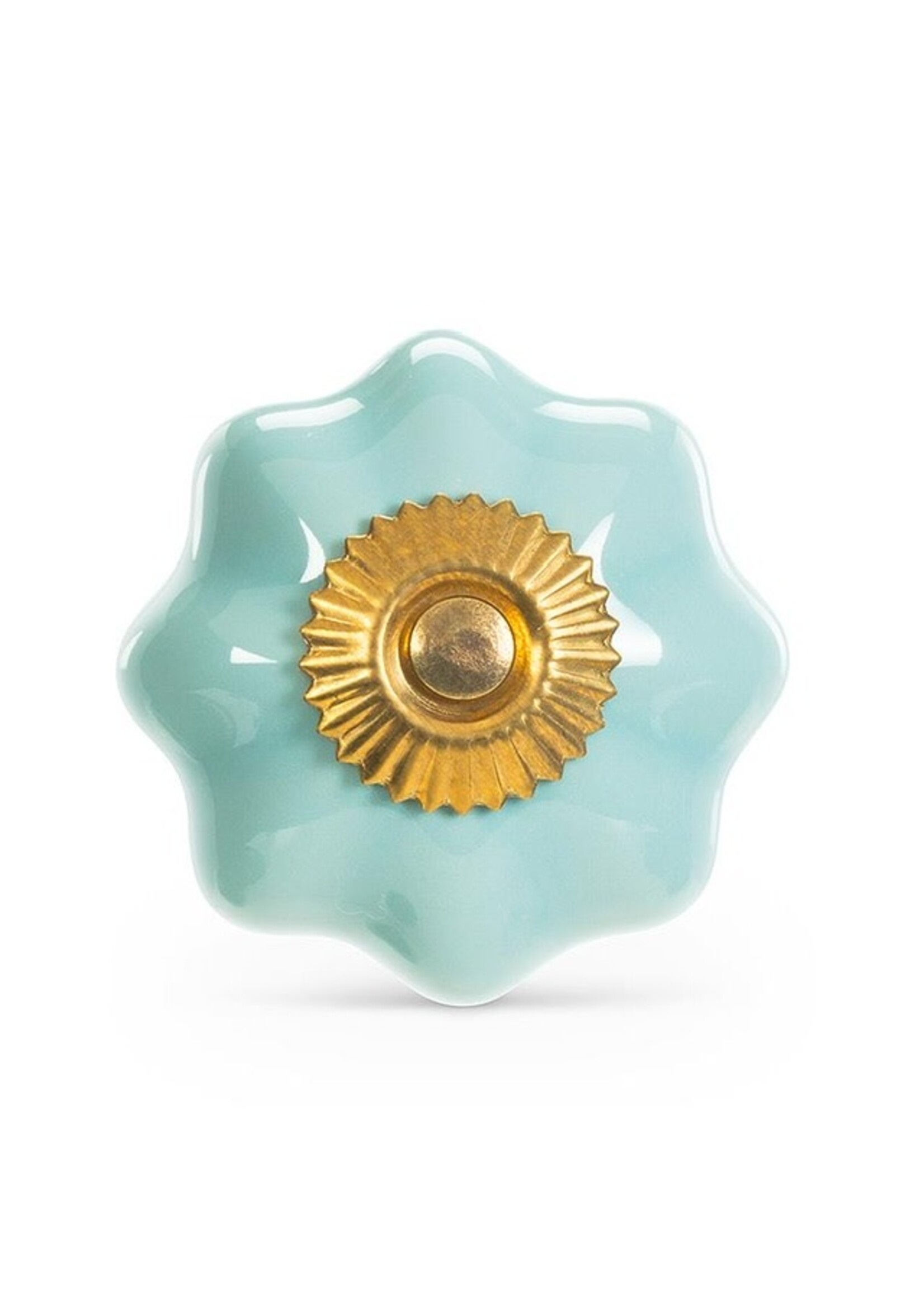 Pumpkin Knob - Turquoise