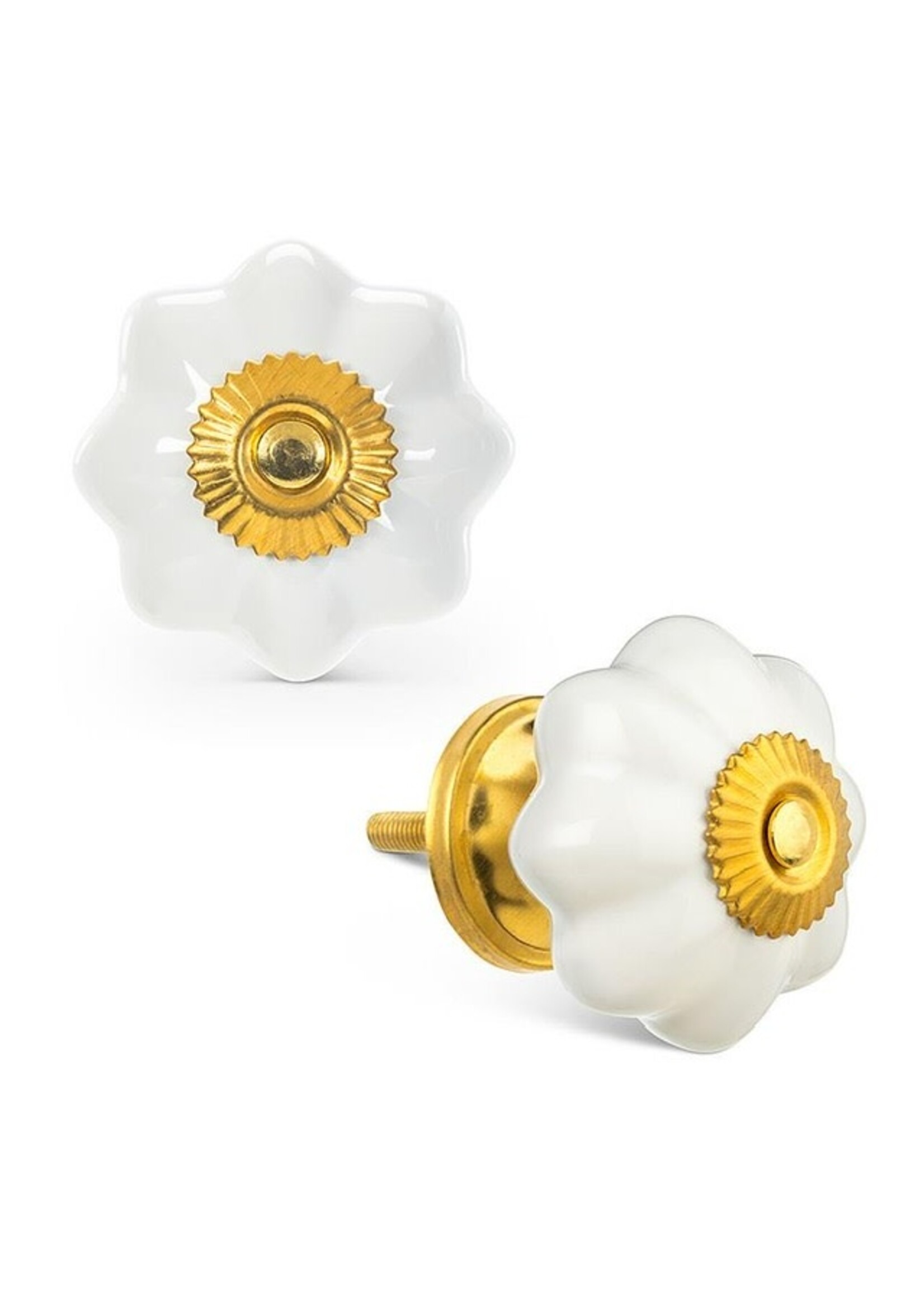 Pumpkin Knob - White
