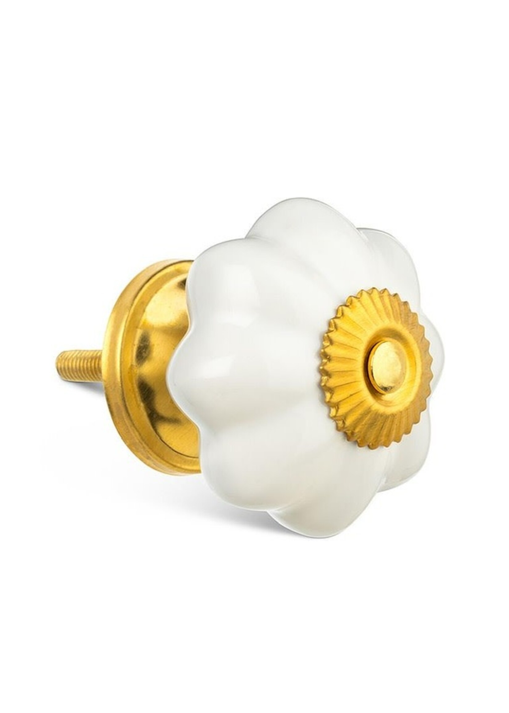 Pumpkin Knob - White