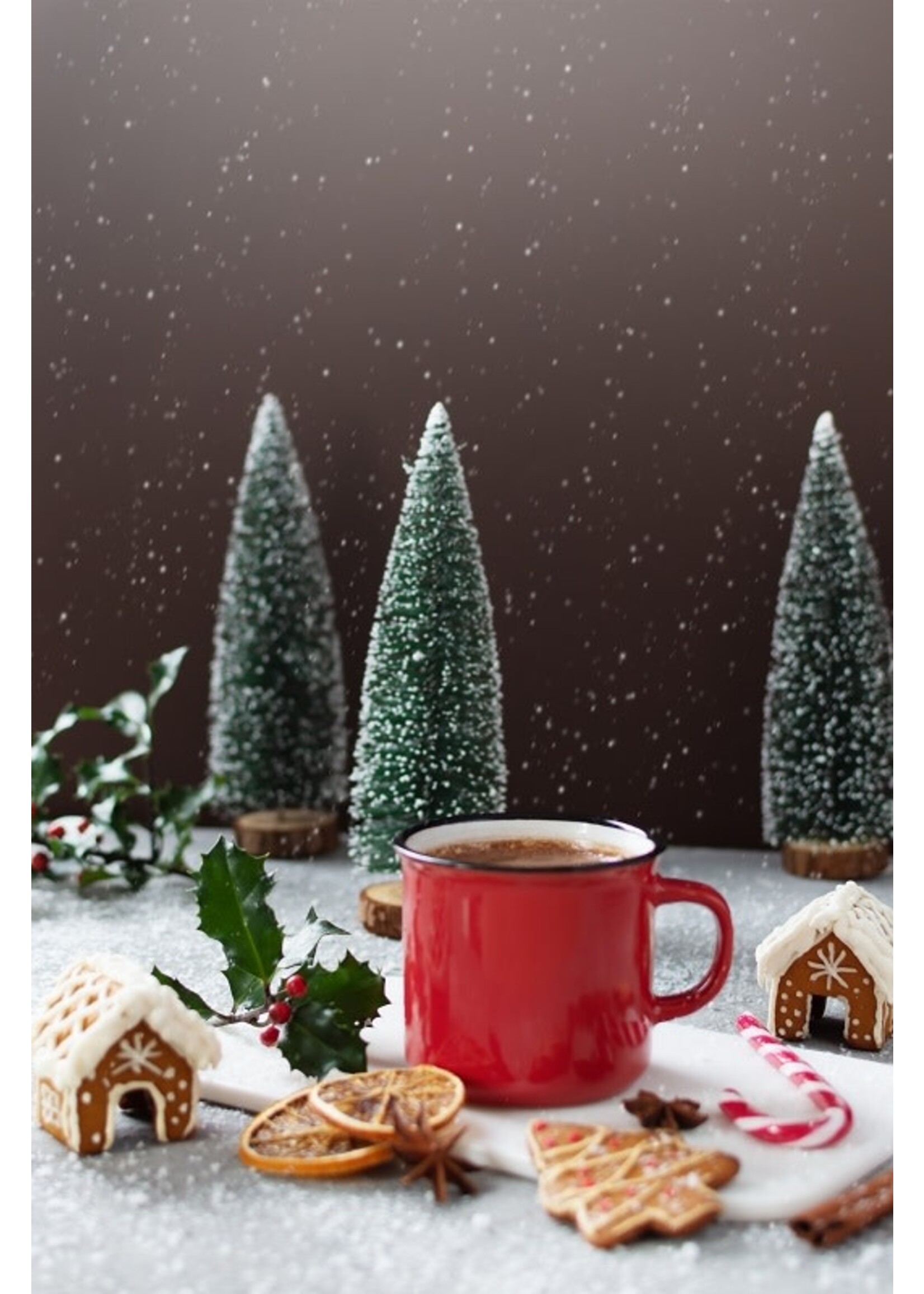 Gourmet du Village Holly Berry Cardinal Hot Chocolate