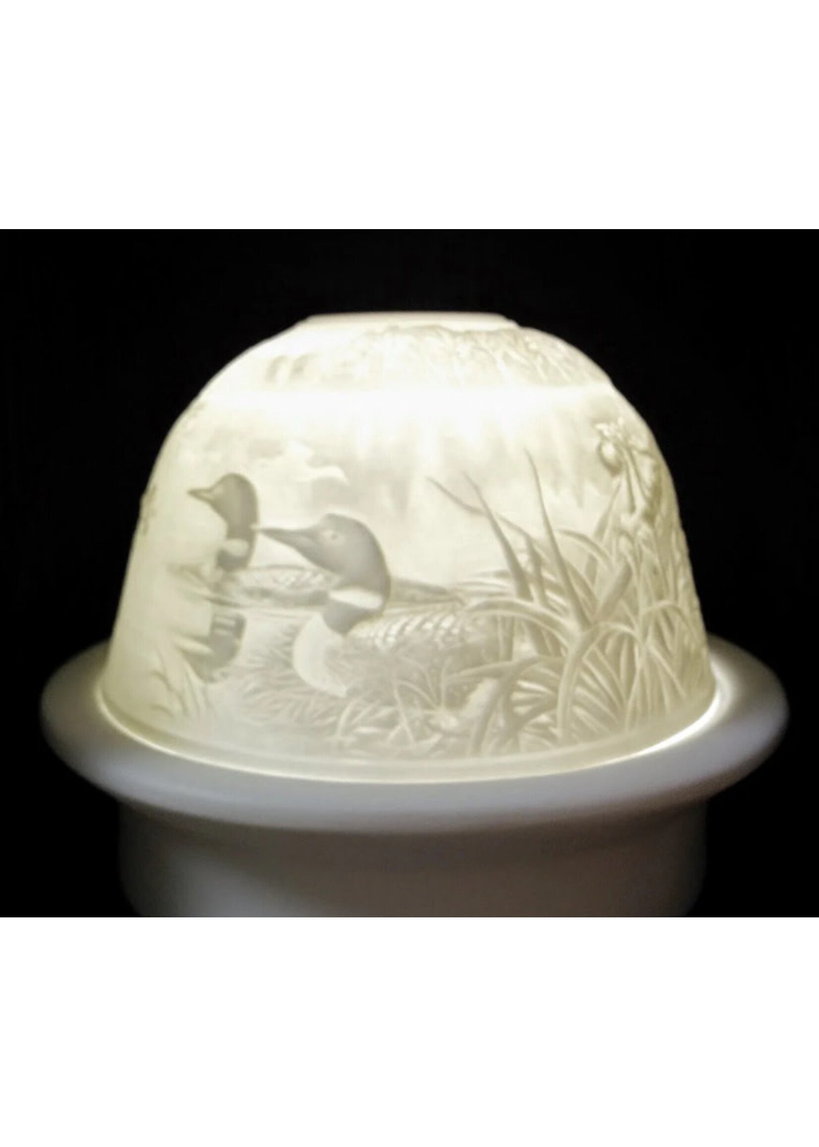 Loon Dome Light