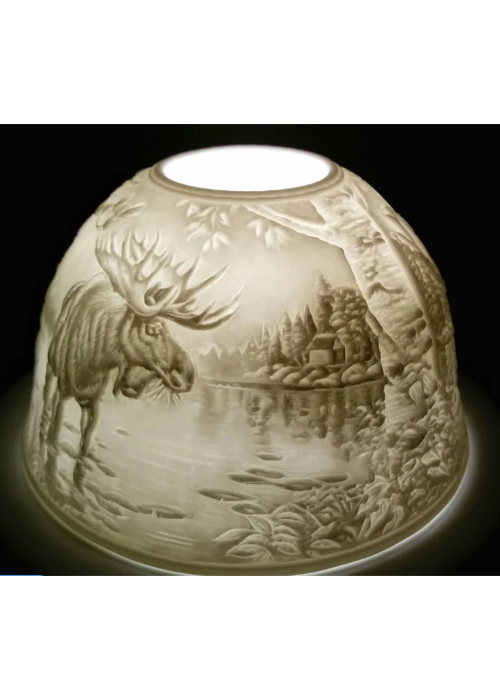 Moose in the Wild Dome Light