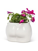Curvy Booty Planter