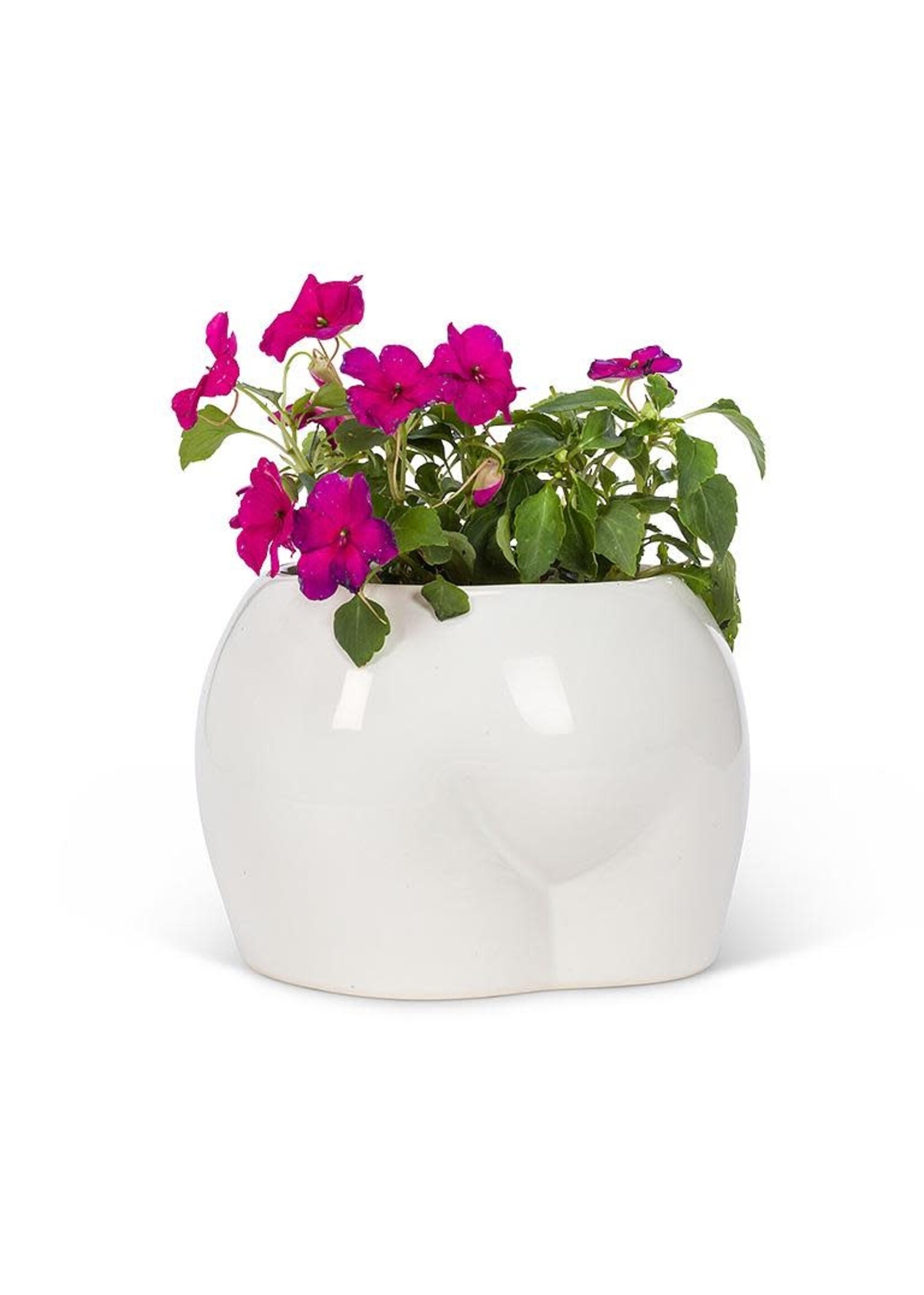 Curvy Booty Planter