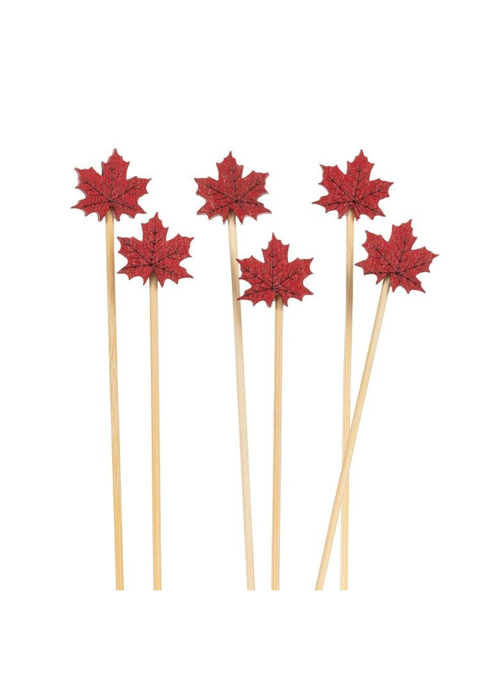 Maple Leaf Picks. 100 Pieces