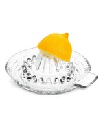 Citrus Reamer with Spout and Handle