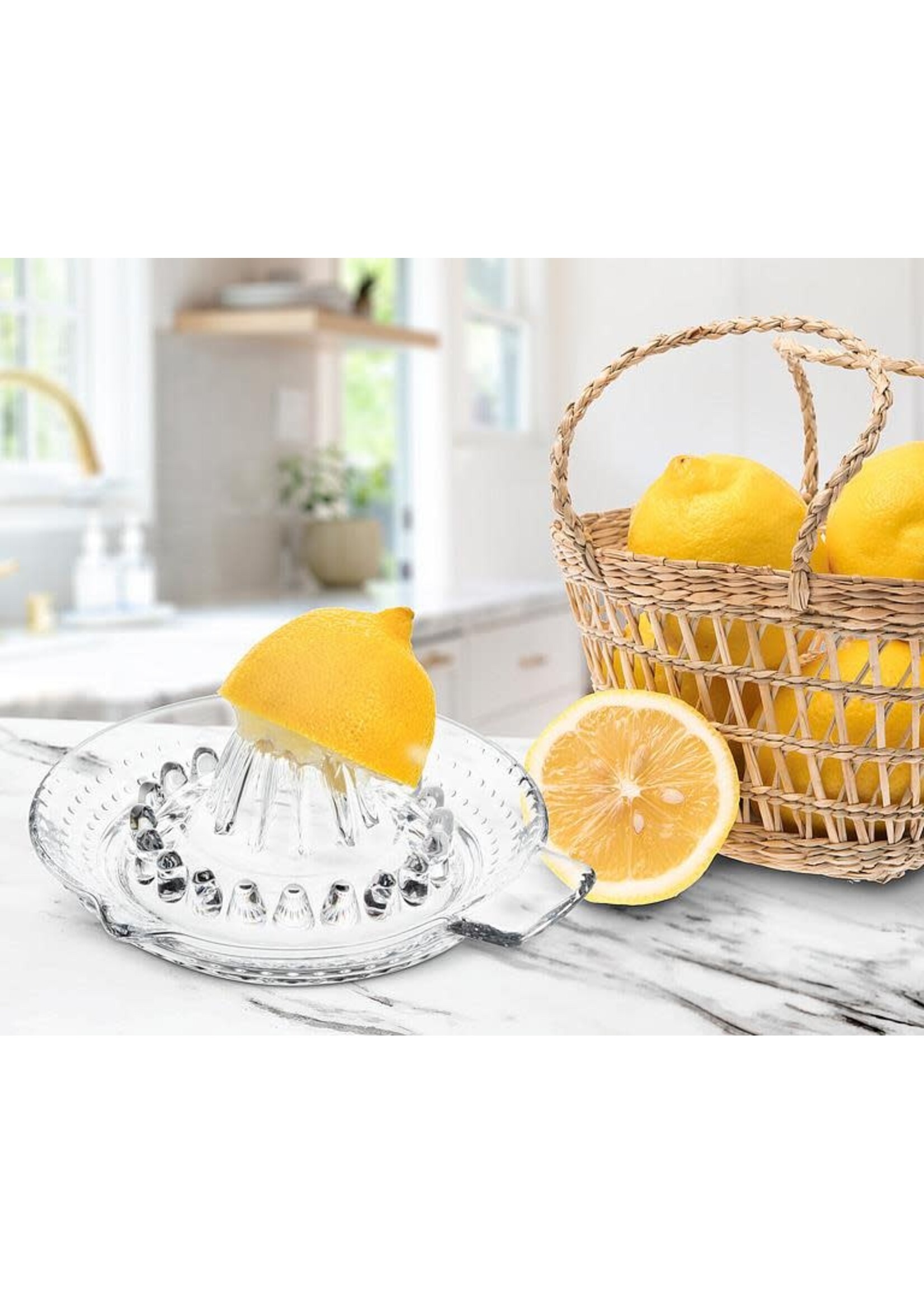Citrus Reamer with Spout and Handle