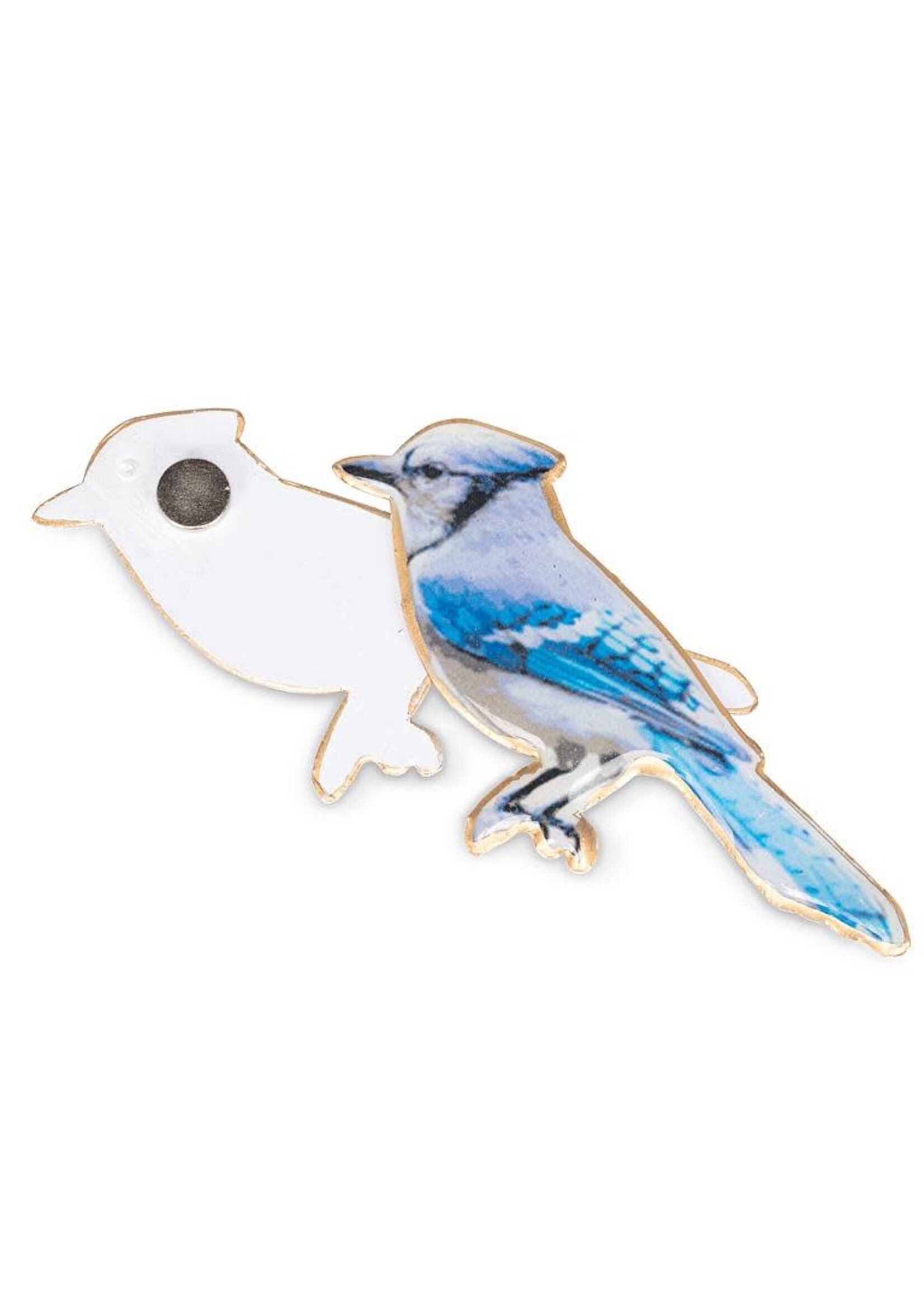 Blue Jay Two-Sided Magnet