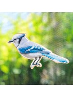 Blue Jay Two-Sided Magnet