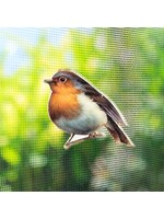 Bird Two-Sided Magnet