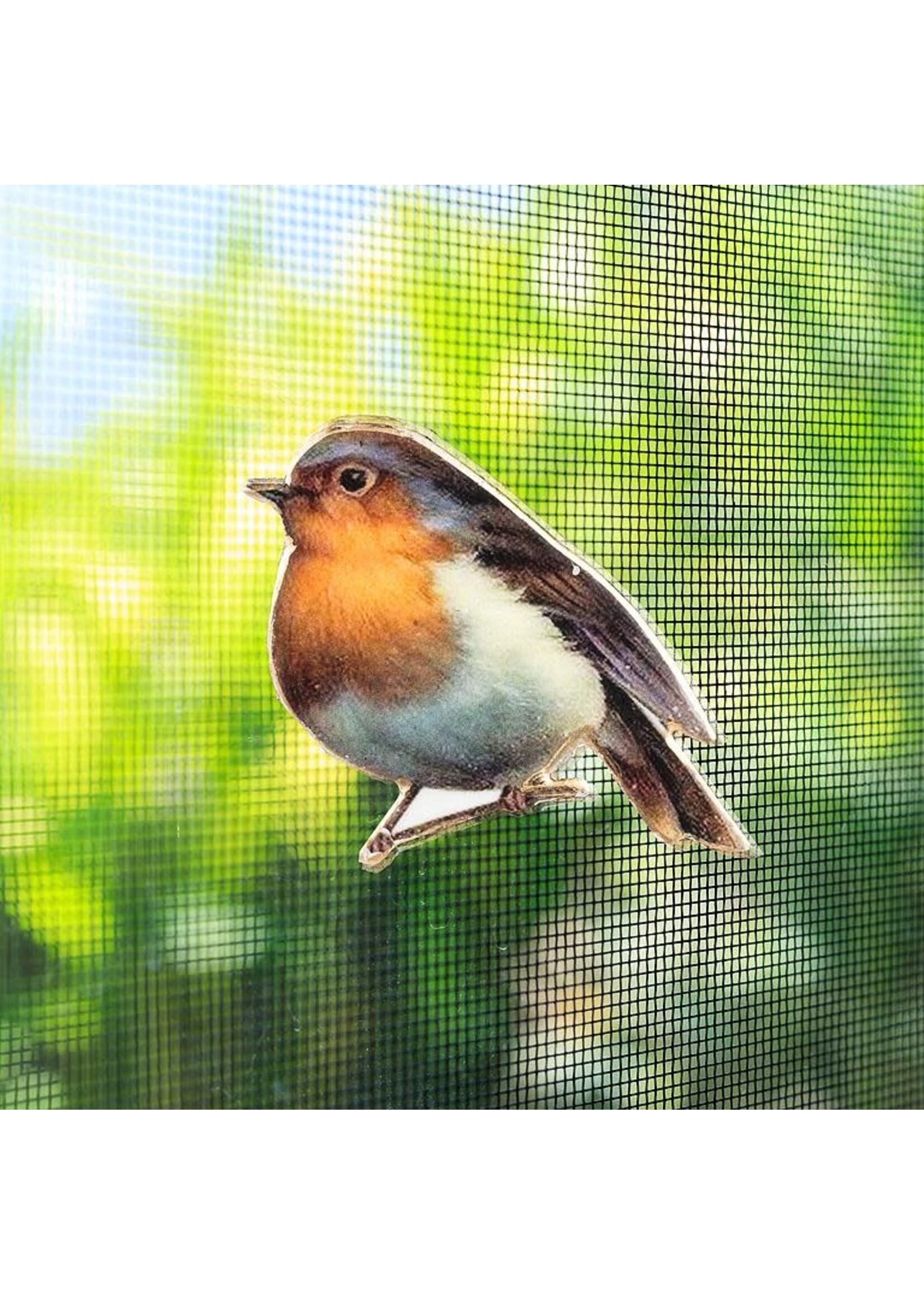 Bird Two-Sided Magnet